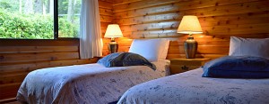 cabin 11 grace's log cabin bedroom at point no point resort