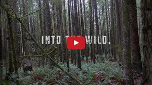 Into the Wild video created by Alex Anthony